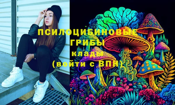 гашик Баксан