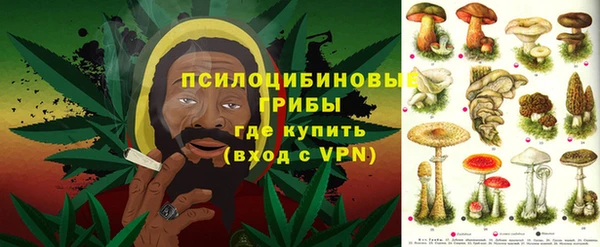 соль ск Арсеньев