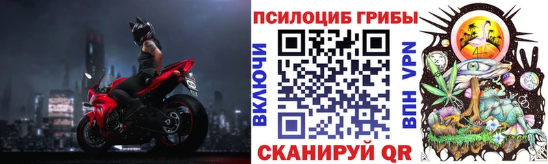 Купить  Хадыженск  Псилоцибиновые грибы прущие грибы 